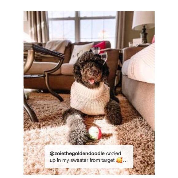 NEW Dog Cat Clothes PET KNIT SWEATER Size MED 20-40LB Cream Boots & Barkley NWT - Picture 6 of 13